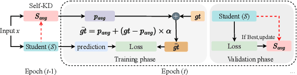 Figure 3 for SalNAS: Efficient Saliency-prediction Neural Architecture Search with self-knowledge distillation
